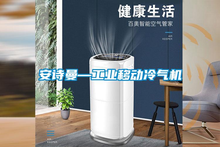 xk星空体育官网—工业移动冷气机