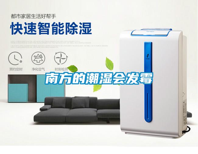 南方的潮湿会发霉