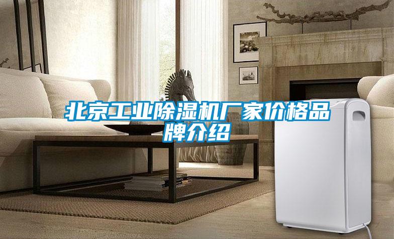 北京星空娱乐彩票是什么网站厂家价格品牌介绍