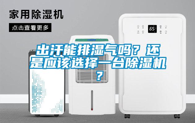 出汗能排湿气吗？还是应该选择一台除湿机？