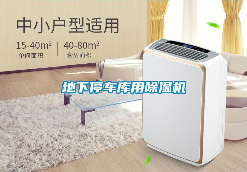 地下停车库用除湿机
