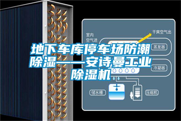 地下车库停车场防潮除湿——xk星空体育官网星空娱乐彩票是什么网站