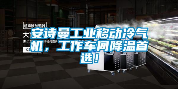 xk星空体育官网工业移动冷气机，工作车间降温首选！