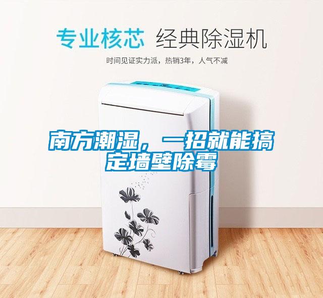 南方潮湿，一招就能搞定墙壁除霉