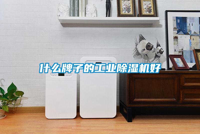 什么牌子的星空娱乐彩票是什么网站好
