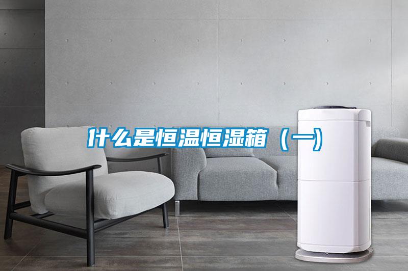 什么是恒温恒湿箱（一)