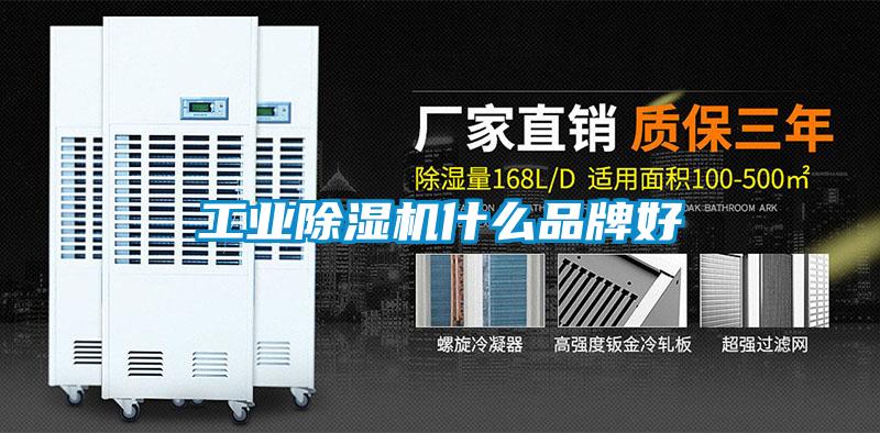星空娱乐彩票是什么网站什么品牌好