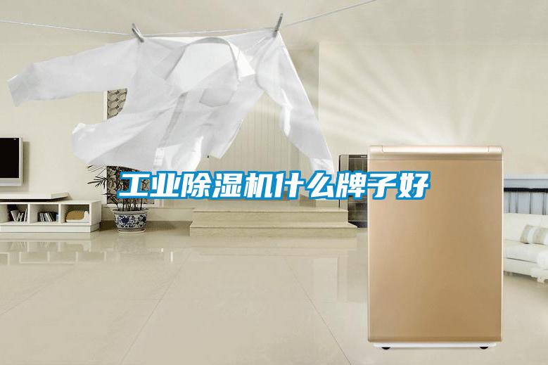 星空娱乐彩票是什么网站什么牌子好
