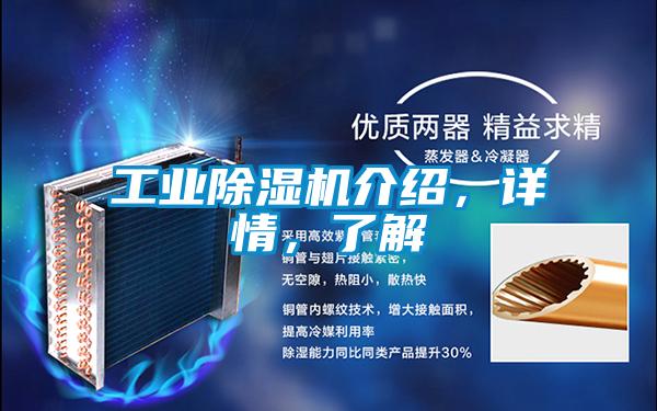 星空娱乐彩票是什么网站介绍，详情，了解