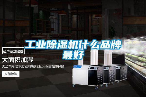 星空娱乐彩票是什么网站什么品牌最好