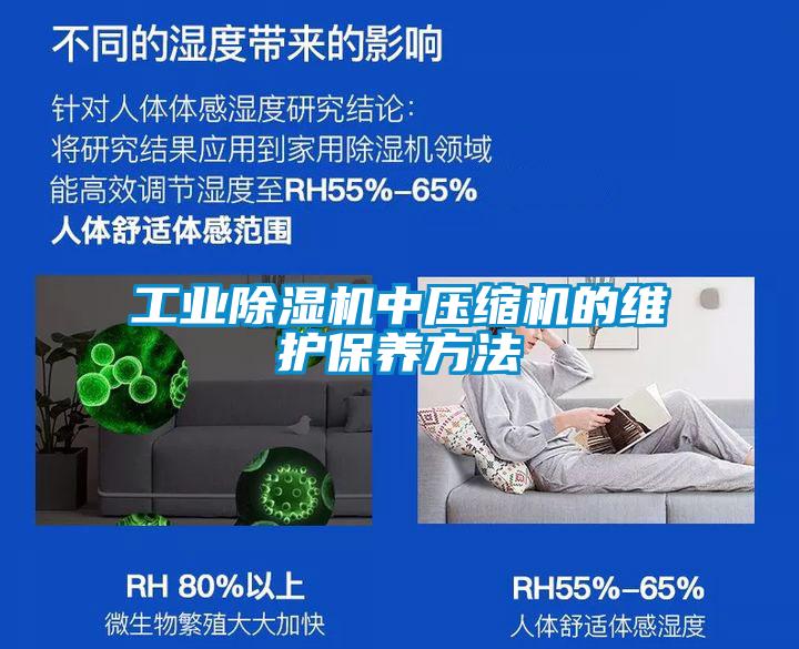 星空娱乐彩票是什么网站中压缩机的维护保养方法