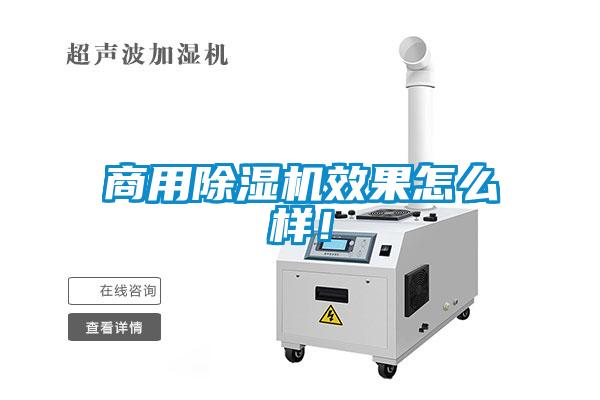 星空app官网下载手机版效果怎么样！