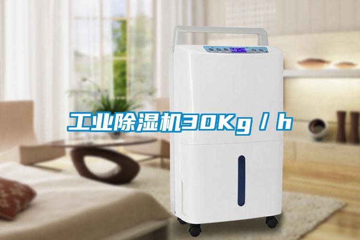 星空娱乐彩票是什么网站30Kg／h