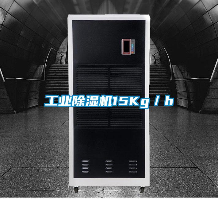 星空娱乐彩票是什么网站15Kg／h