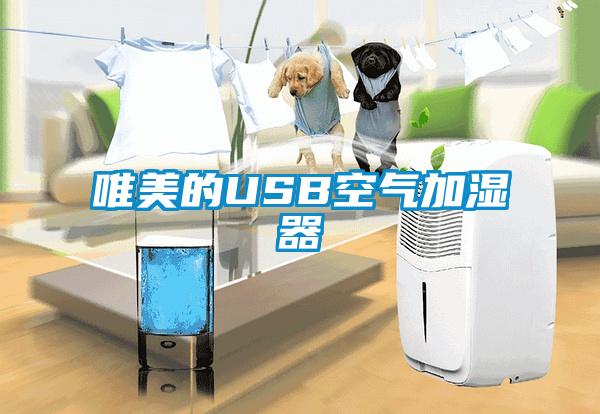 唯美的USB空气加湿器