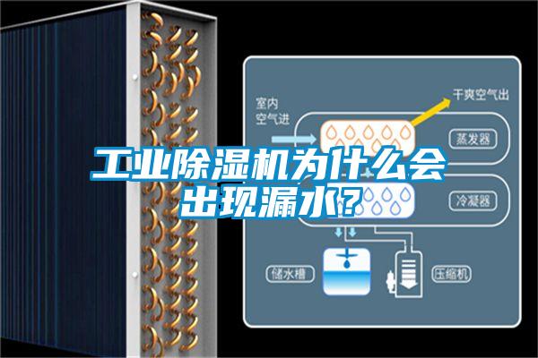 星空娱乐彩票是什么网站为什么会出现漏水？