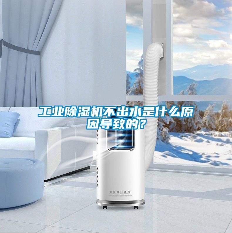 星空娱乐彩票是什么网站不出水是什么原因导致的？