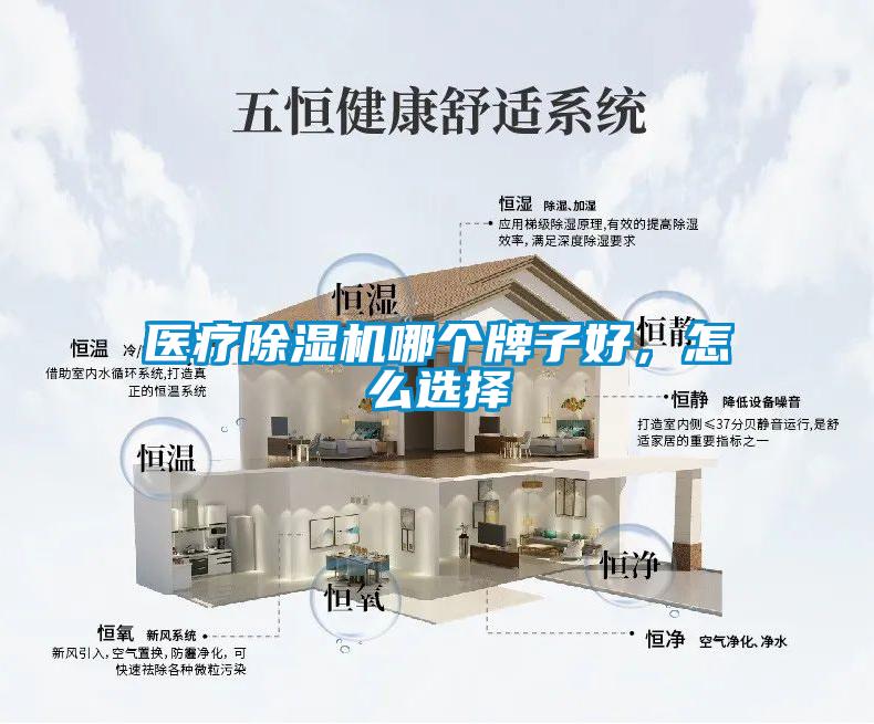医疗除湿机哪个牌子好，怎么选择
