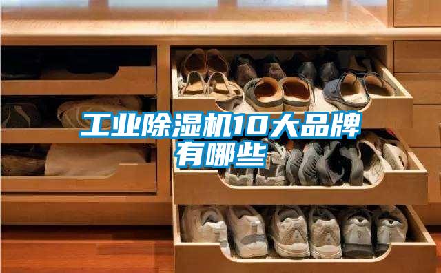 星空娱乐彩票是什么网站10大品牌有哪些