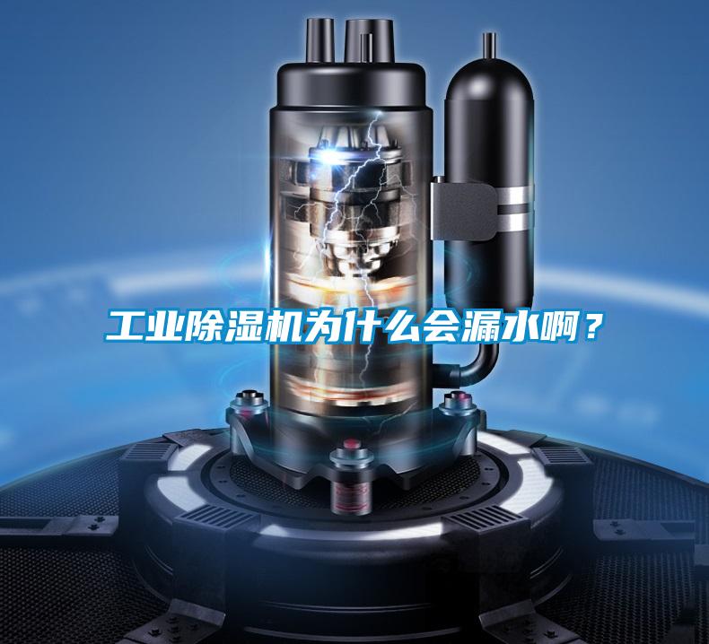 星空娱乐彩票是什么网站为什么会漏水啊？