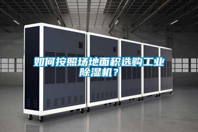 如何按照场地面积选购星空娱乐彩票是什么网站？