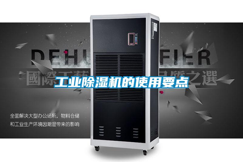 星空娱乐彩票是什么网站的使用要点