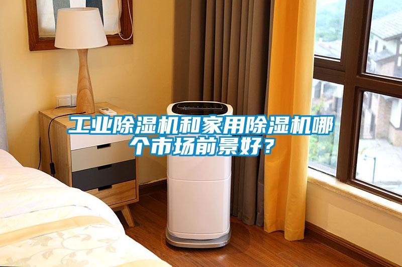 星空娱乐彩票是什么网站和星空体育app官网哪个市场前景好？