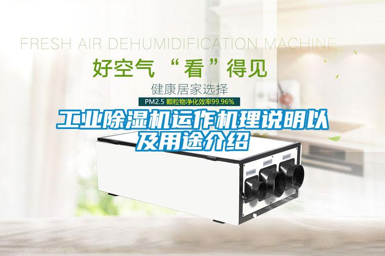 星空娱乐彩票是什么网站运作机理说明以及用途介绍
