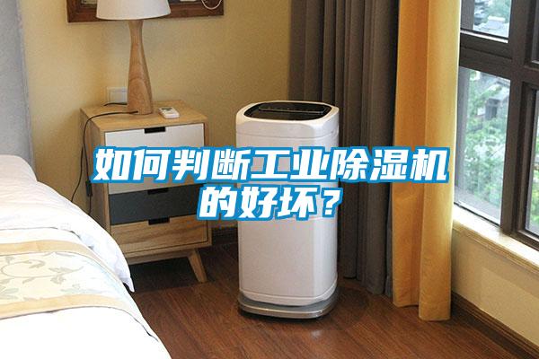 如何判断星空娱乐彩票是什么网站的好坏？