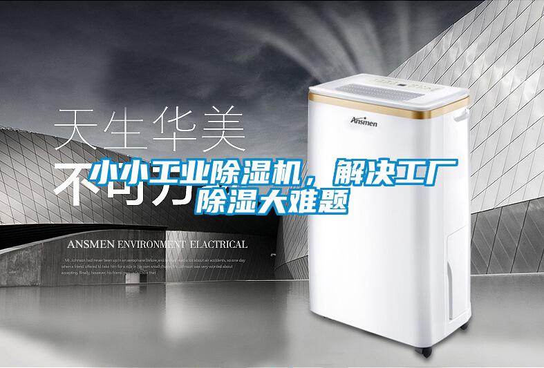 小小星空娱乐彩票是什么网站，解决工厂除湿大难题