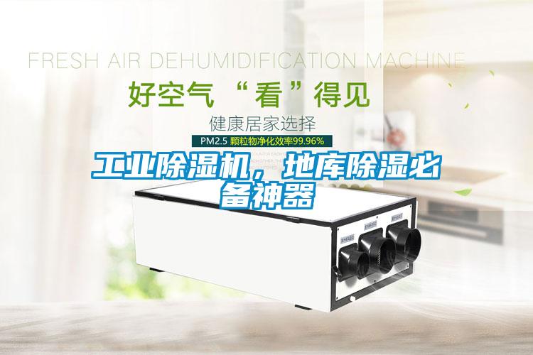 星空娱乐彩票是什么网站，地库除湿必备神器