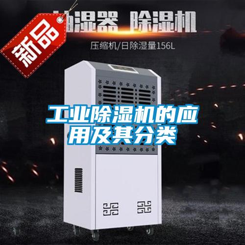 星空娱乐彩票是什么网站的应用及其分类