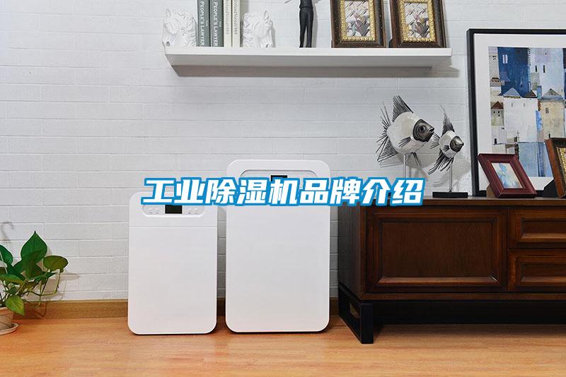 星空娱乐彩票是什么网站品牌介绍