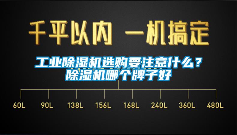 星空娱乐彩票是什么网站选购要注意什么？除湿机哪个牌子好
