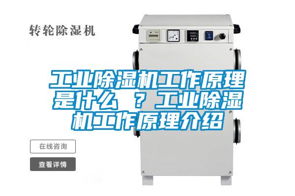 星空娱乐彩票是什么网站工作原理是什么 ？星空娱乐彩票是什么网站工作原理介绍