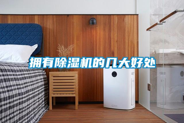 拥有除湿机的几大好处