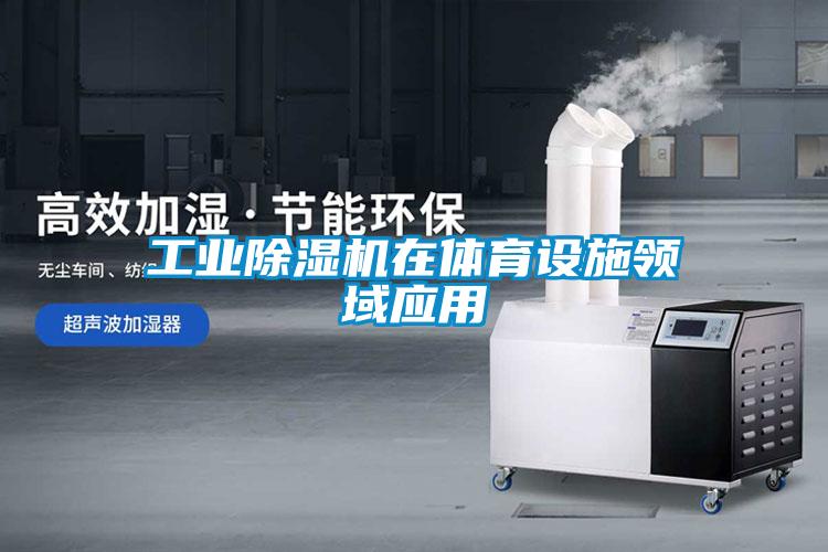 星空娱乐彩票是什么网站在体育设施领域应用