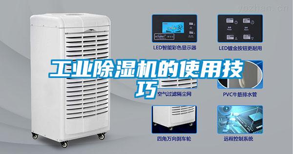星空娱乐彩票是什么网站的使用技巧