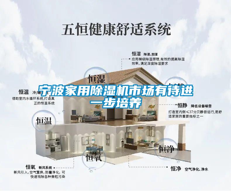 宁波星空体育app官网市场有待进一步培养