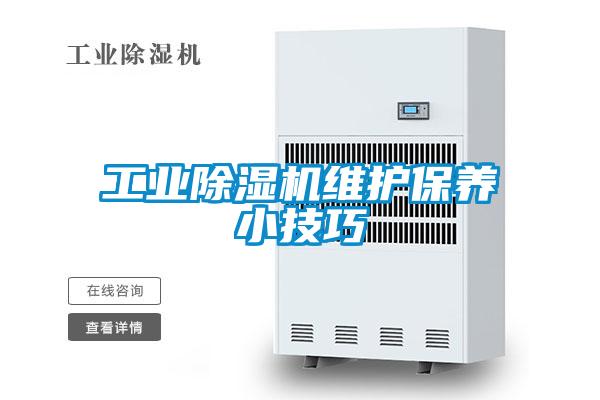 星空娱乐彩票是什么网站维护保养小技巧