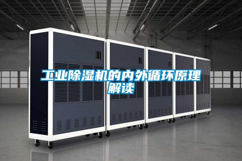 星空娱乐彩票是什么网站的内外循环原理解读