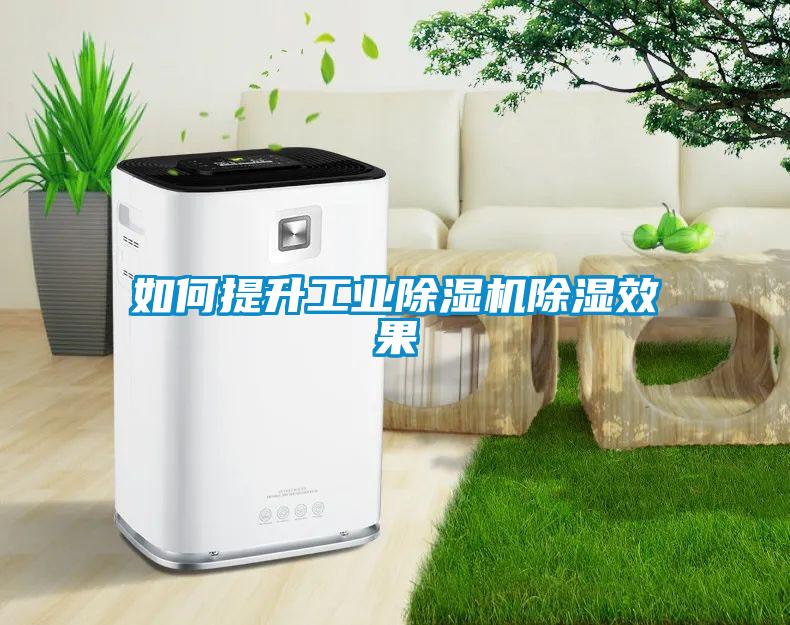 如何提升星空娱乐彩票是什么网站除湿效果