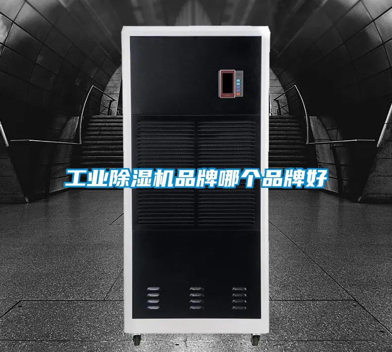 星空娱乐彩票是什么网站品牌哪个品牌好