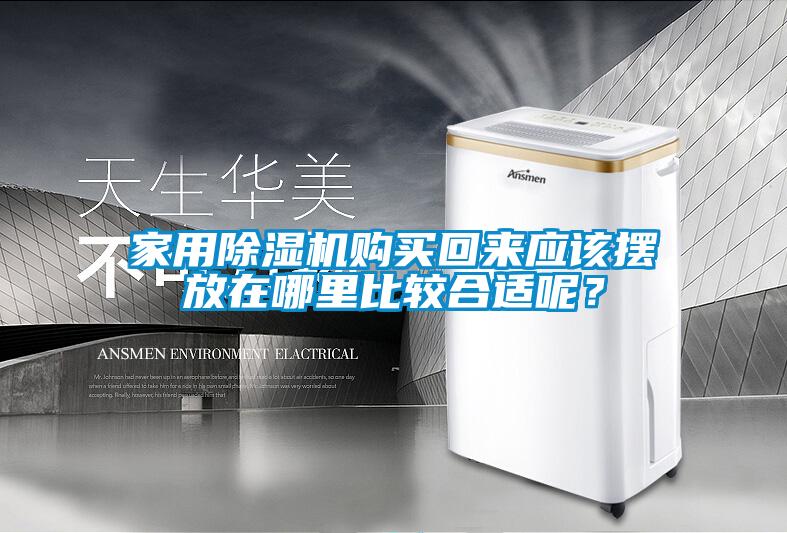 星空体育app官网购买回来应该摆放在哪里比较合适呢？