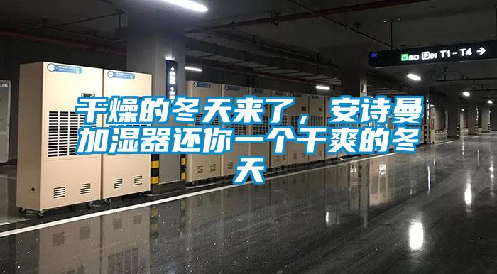 干燥的冬天来了，xk星空体育官网加湿器还你一个干爽的冬天