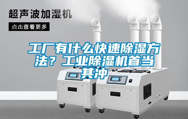 工厂有什么快速除湿方法？星空娱乐彩票是什么网站首当其冲