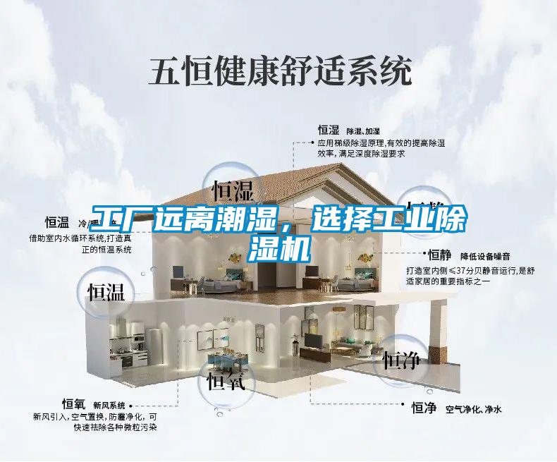 工厂远离潮湿，选择星空娱乐彩票是什么网站