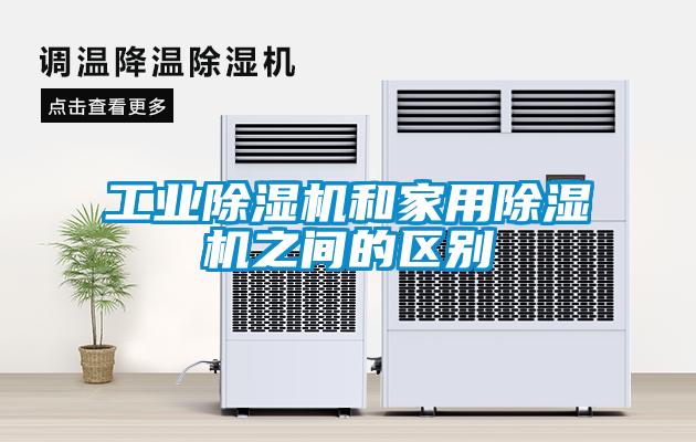星空娱乐彩票是什么网站和星空体育app官网之间的区别