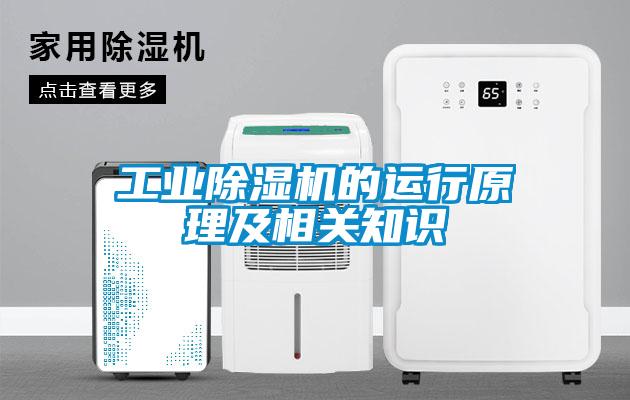 星空娱乐彩票是什么网站的运行原理及相关知识
