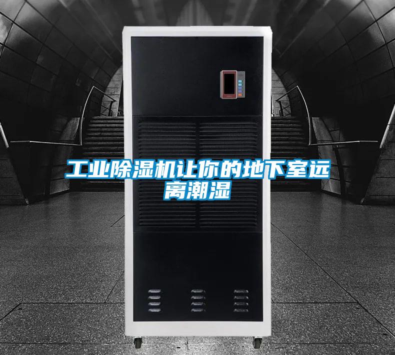 星空娱乐彩票是什么网站让你的地下室远离潮湿